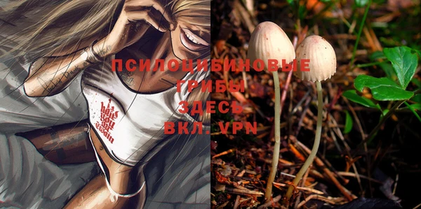 марки lsd Баксан