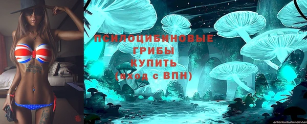 дурь Арсеньев
