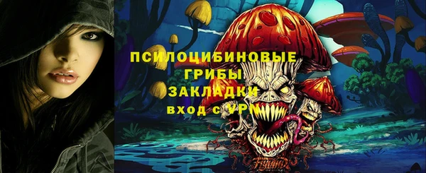 дмт Аркадак