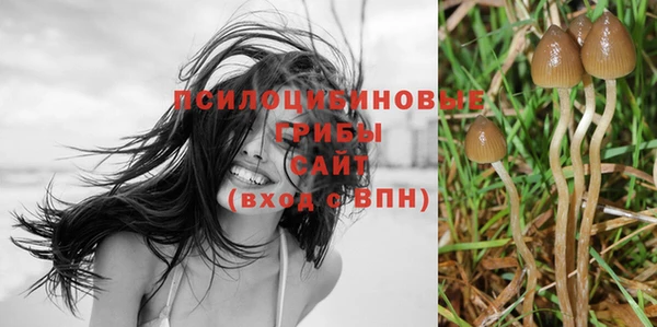 дурь Арсеньев