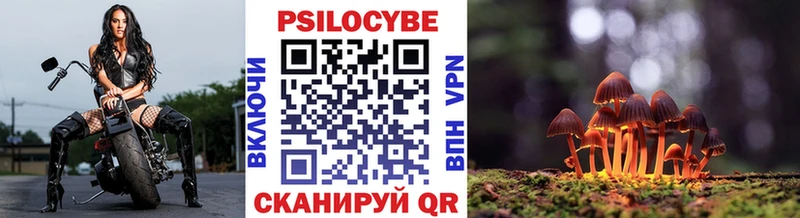 Псилоцибиновые грибы прущие грибы  Кувшиново 
